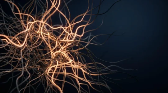 Abstract visualization of neural pathways being selectively strengthened and pruned in the developing brain